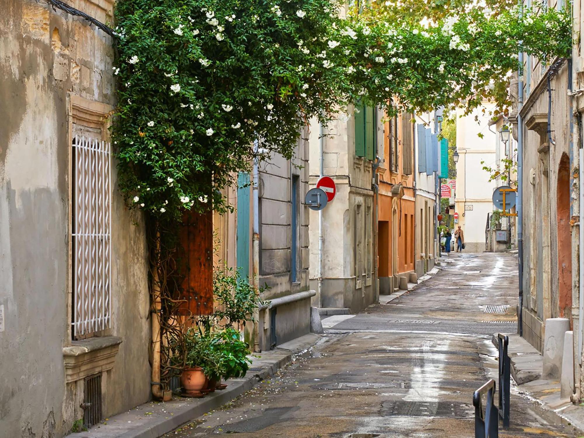 Hebergements Modernes & Cosy A Arles T3 Et T2 Elegants 外观 照片